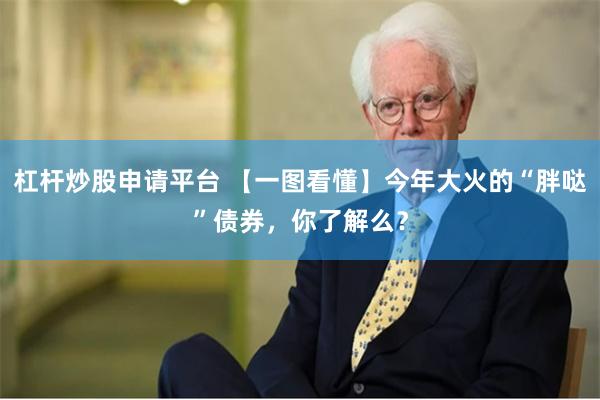 杠杆炒股申请平台 【一图看懂】今年大火的“胖哒”债券，你了解么？