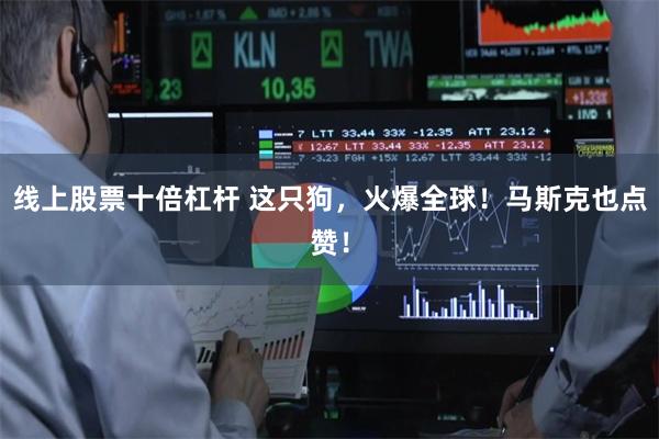 线上股票十倍杠杆 这只狗，火爆全球！马斯克也点赞！