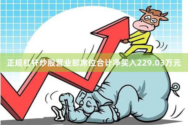 正规杠杆炒股营业部席位合计净买入229.03万元