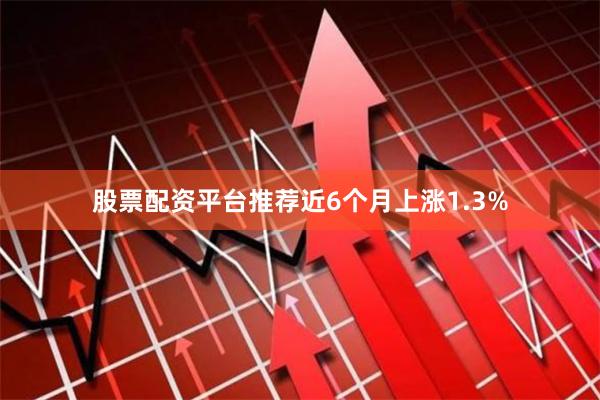 股票配资平台推荐近6个月上涨1.3%